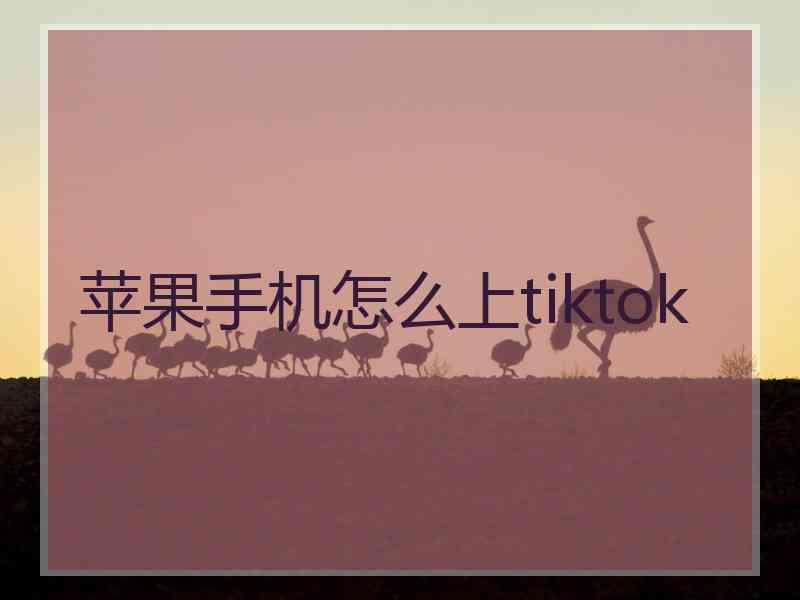 苹果手机怎么上tiktok