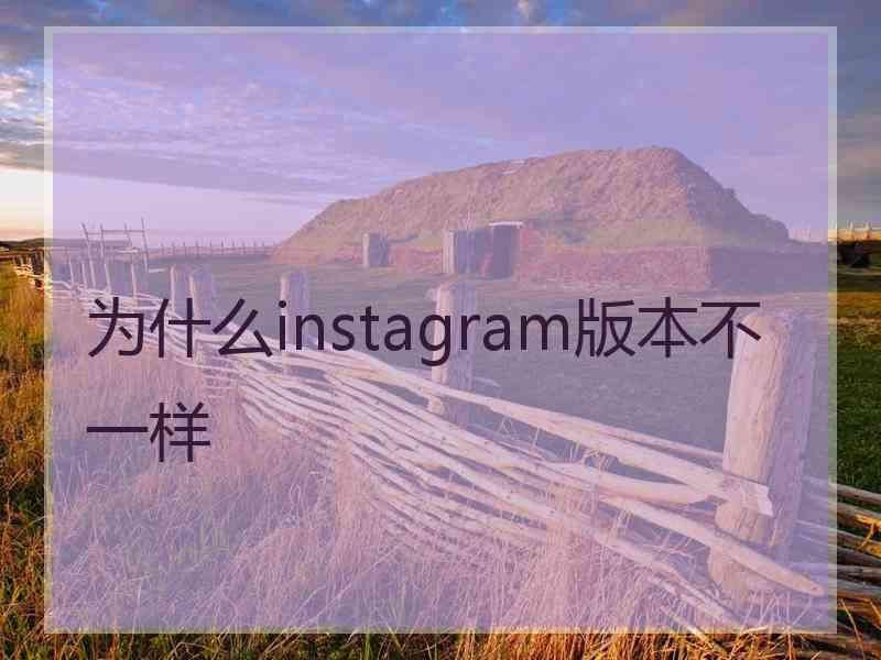 为什么instagram版本不一样