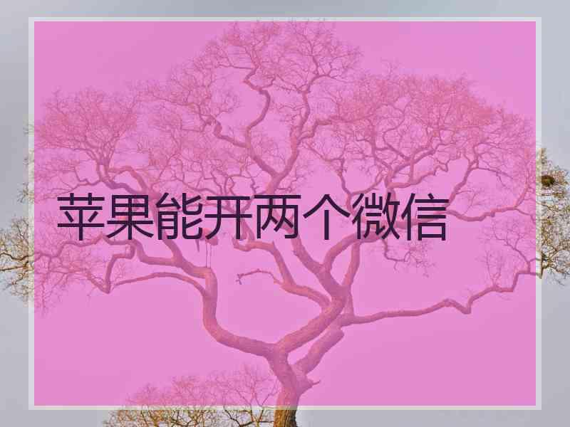 苹果能开两个微信