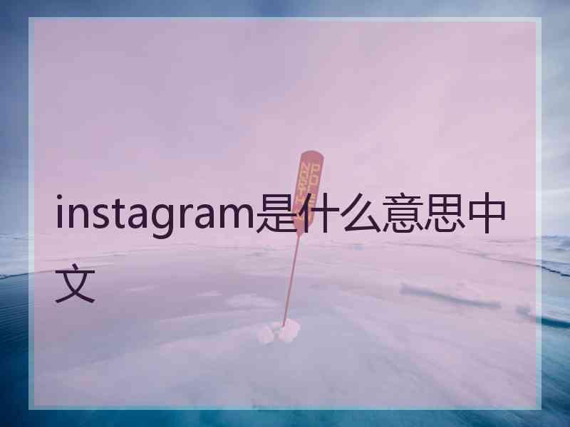 instagram是什么意思中文