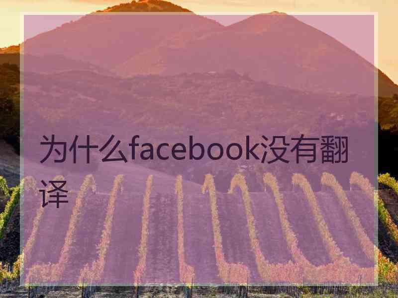 为什么facebook没有翻译