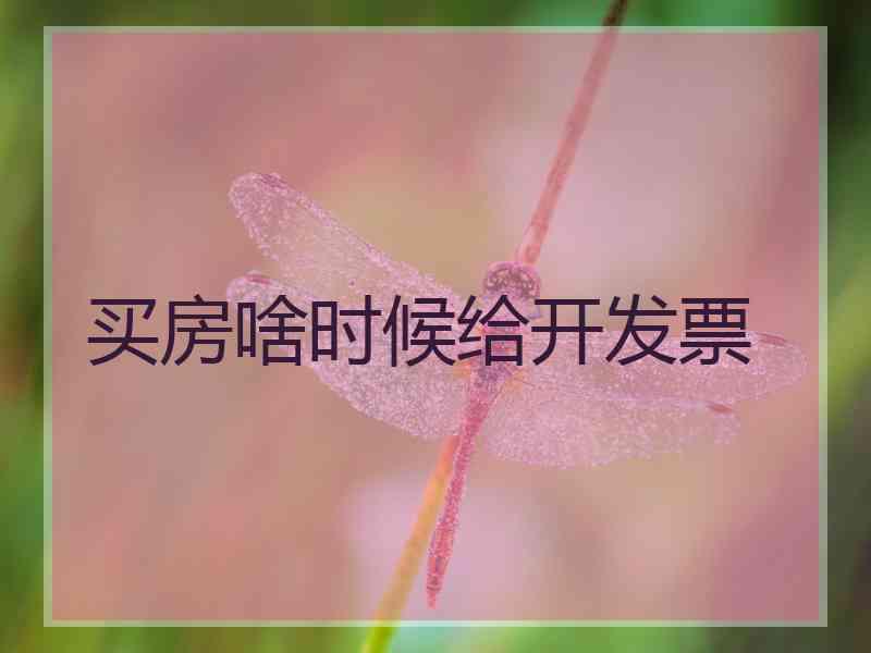 买房啥时候给开发票