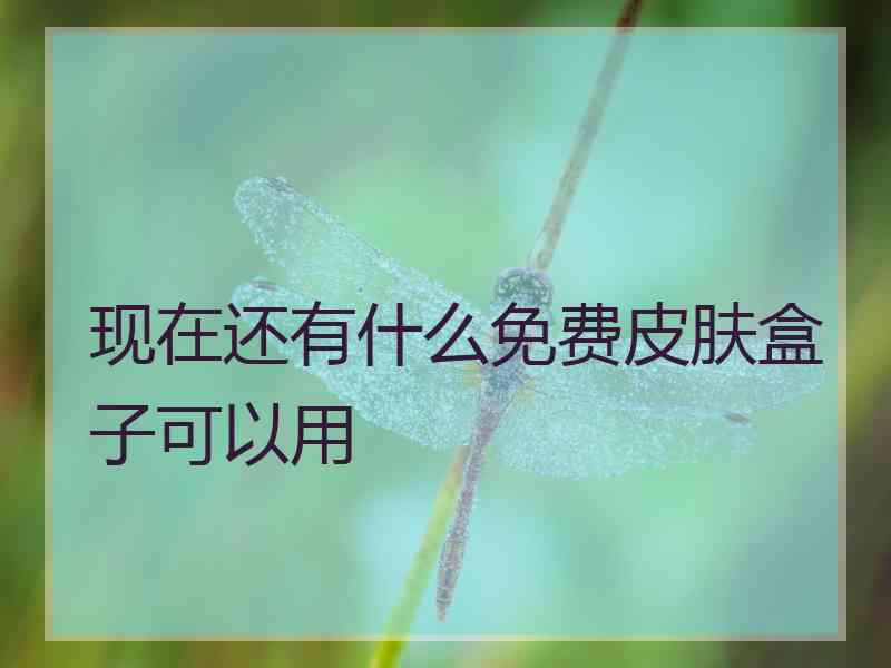 现在还有什么免费皮肤盒子可以用