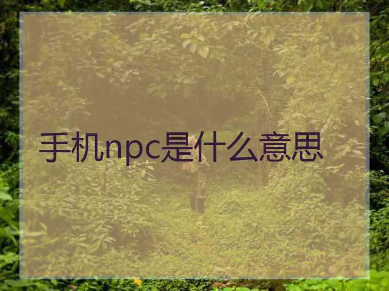 手机npc是什么意思