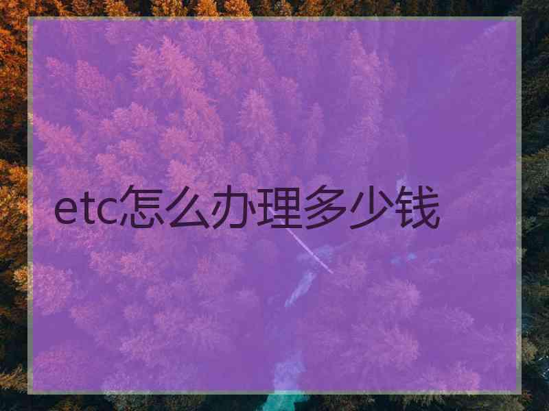 etc怎么办理多少钱