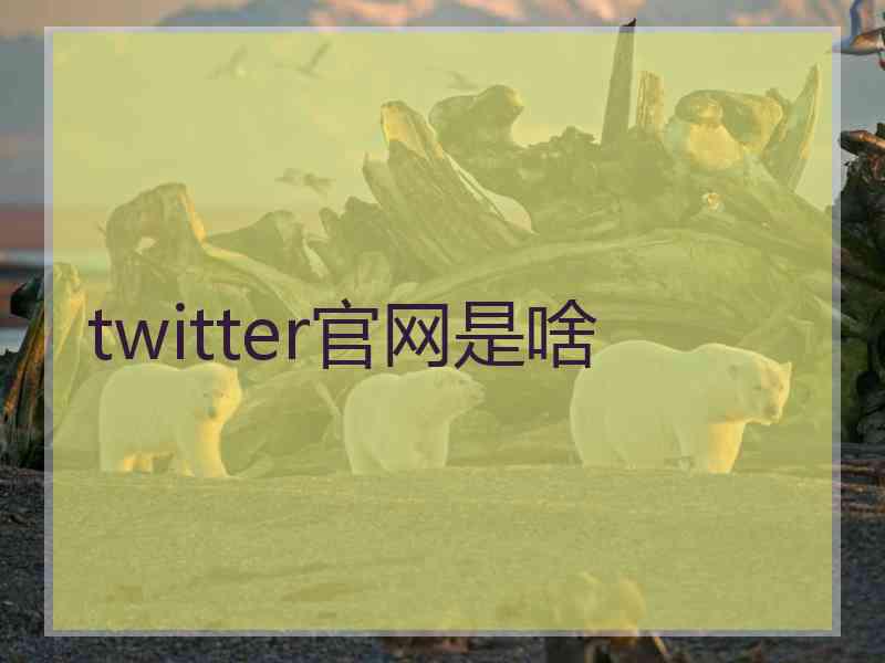 twitter官网是啥