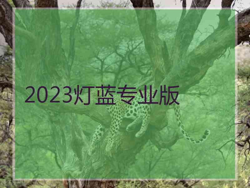 2023灯蓝专业版