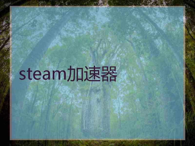 steam加速器