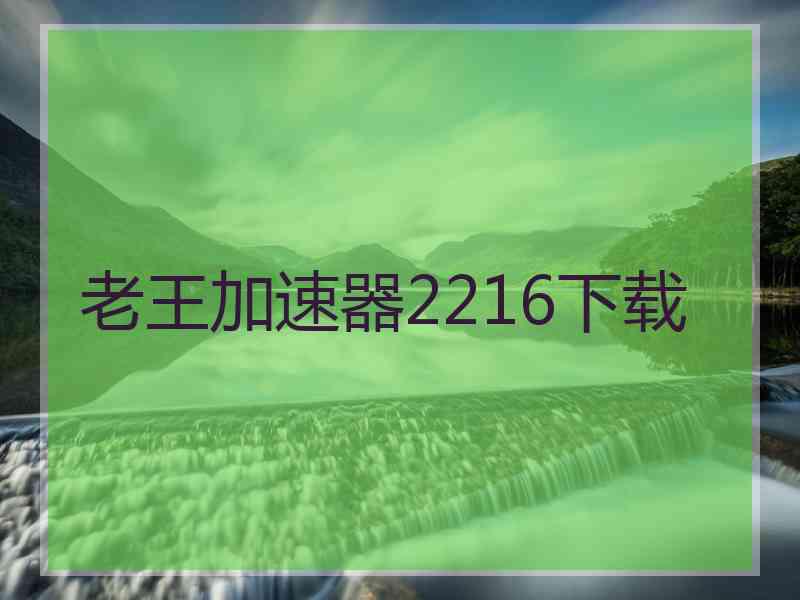 老王加速器2216下载