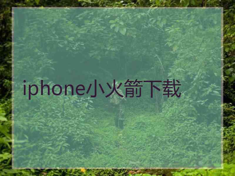 iphone小火箭下载