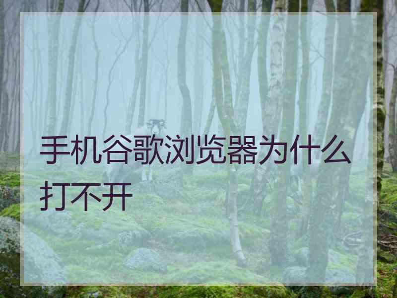 手机谷歌浏览器为什么打不开