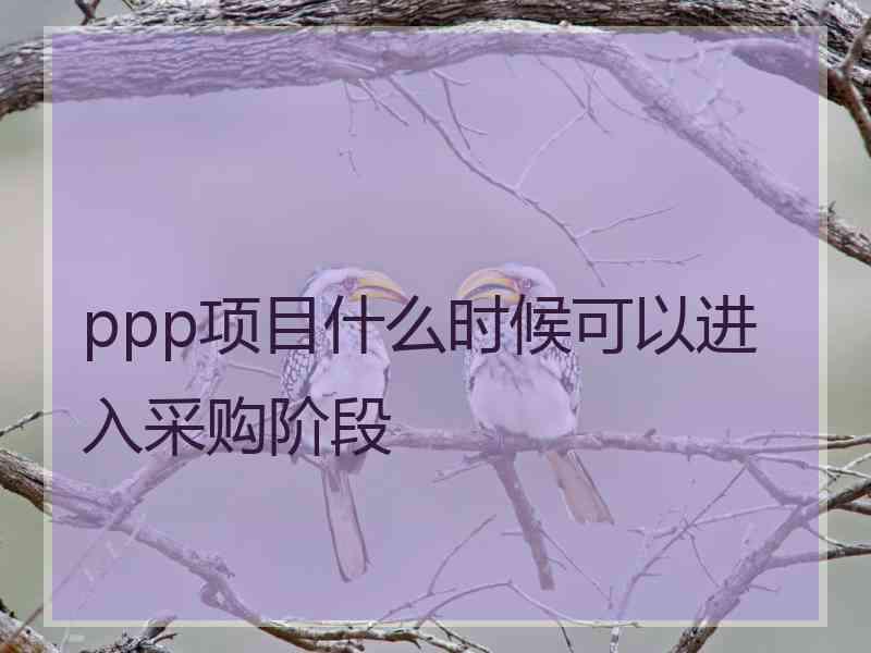 ppp项目什么时候可以进入采购阶段