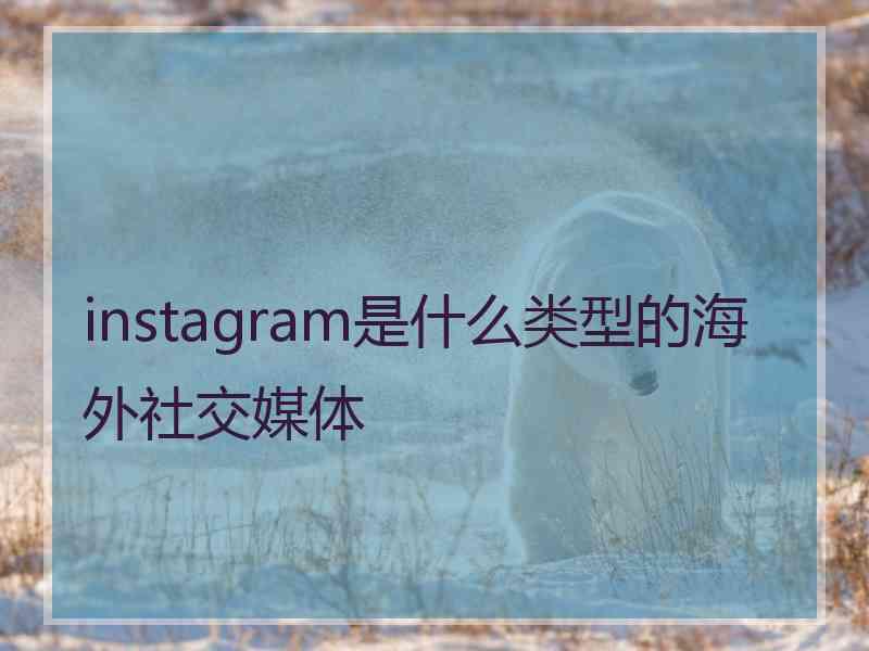 instagram是什么类型的海外社交媒体