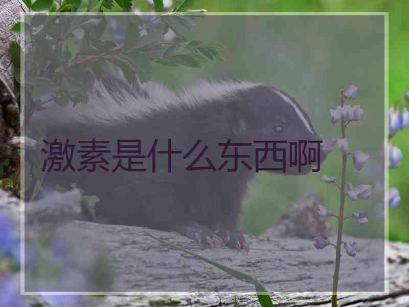 激素是什么东西啊