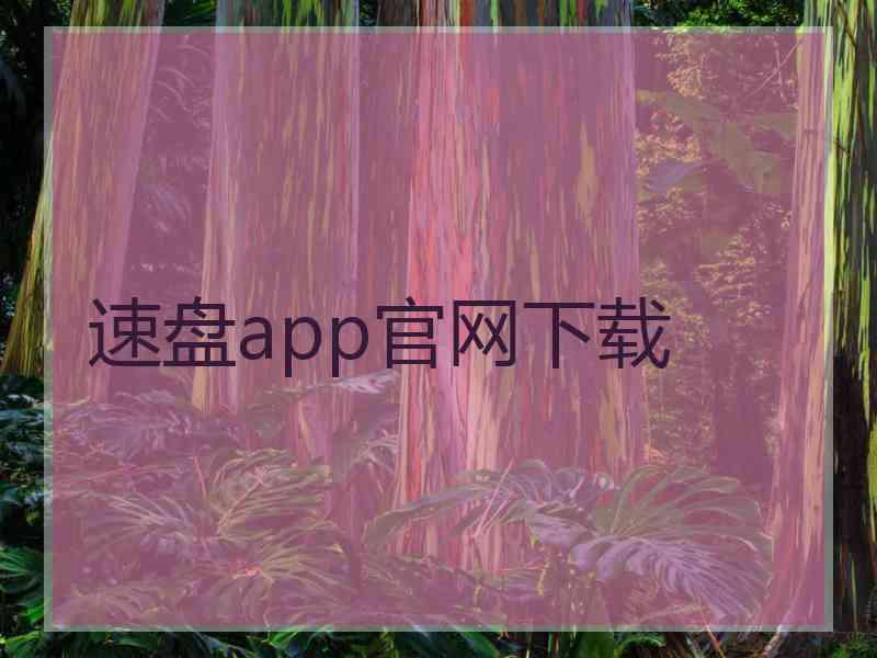 速盘app官网下载