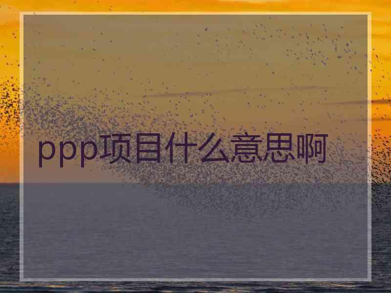 ppp项目什么意思啊