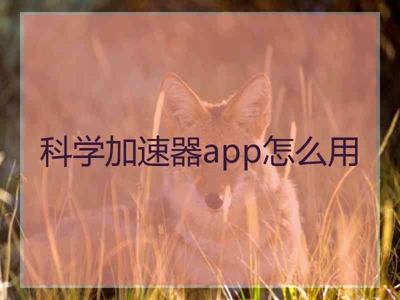 科学加速器app怎么用