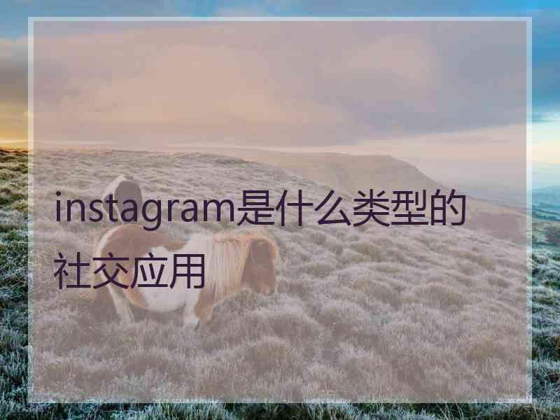 instagram是什么类型的社交应用